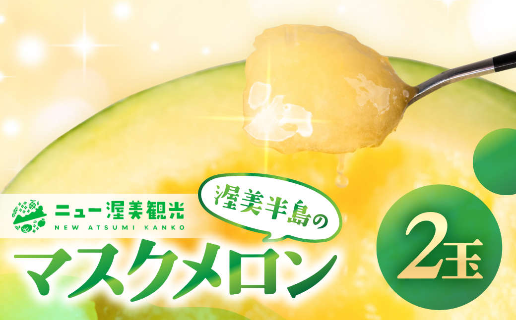 【先行予約】マスクメロン 2玉 メロン めろん マスクメロン フルーツ 果物 愛知県 田原市 渥美半島 お取り寄せ スイーツ ギフト 贈り物 プレゼント 贈答 贈答用 ニュー渥美 観光 1玉 2玉 3玉 訳あり わけあり ワケアリ 訳アリ