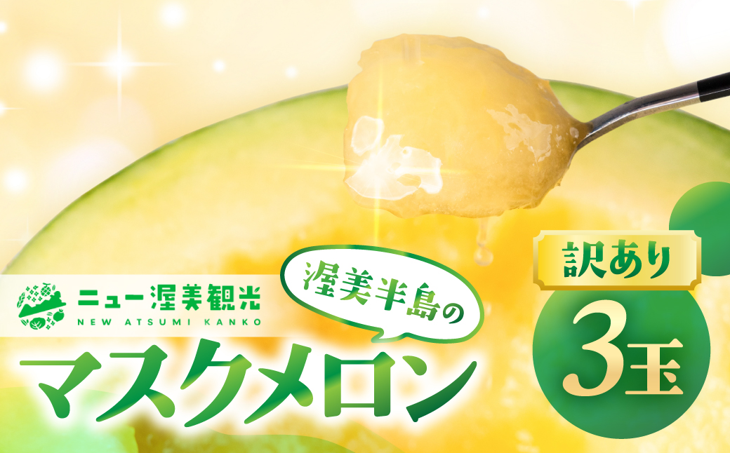 【先行予約】訳あり マスクメロン 3玉 メロン めろん マスクメロン フルーツ 果物 愛知県 田原市 渥美半島 お取り寄せ スイーツ ギフト 贈り物 プレゼント 贈答 贈答用 ニュー渥美 観光 1玉 2玉 3玉 訳あり わけあり ワケアリ 訳アリ