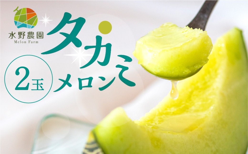 【先行予約】2026年7月お届け タカミメロン 2玉 水野農園 　6月中下旬から7月順次発送 メロン めろん 先行受付 フルーツ 果物 お中元 お取り寄せ ギフト 渥美半島 田原市 産地直送 送料無料 9000円