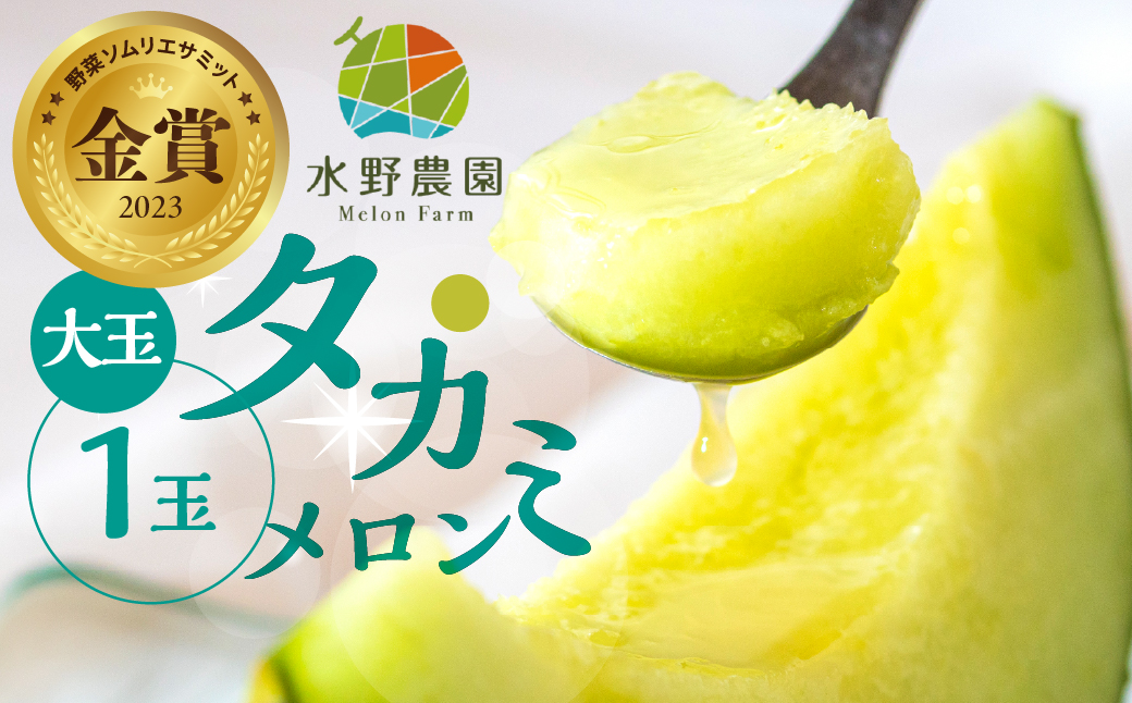 【先行予約】2026年7月お届け 水野農園産タカミメロン　大玉１玉 メロン めろん 先行受付 フルーツ 果物 お中元 お取り寄せ ギフト 渥美半島 田原市 産地直送 送料無料 農家直送 緑肉 産直 ネット系メロン くだもの デザート メロン 糖度 メロン 青肉メロン