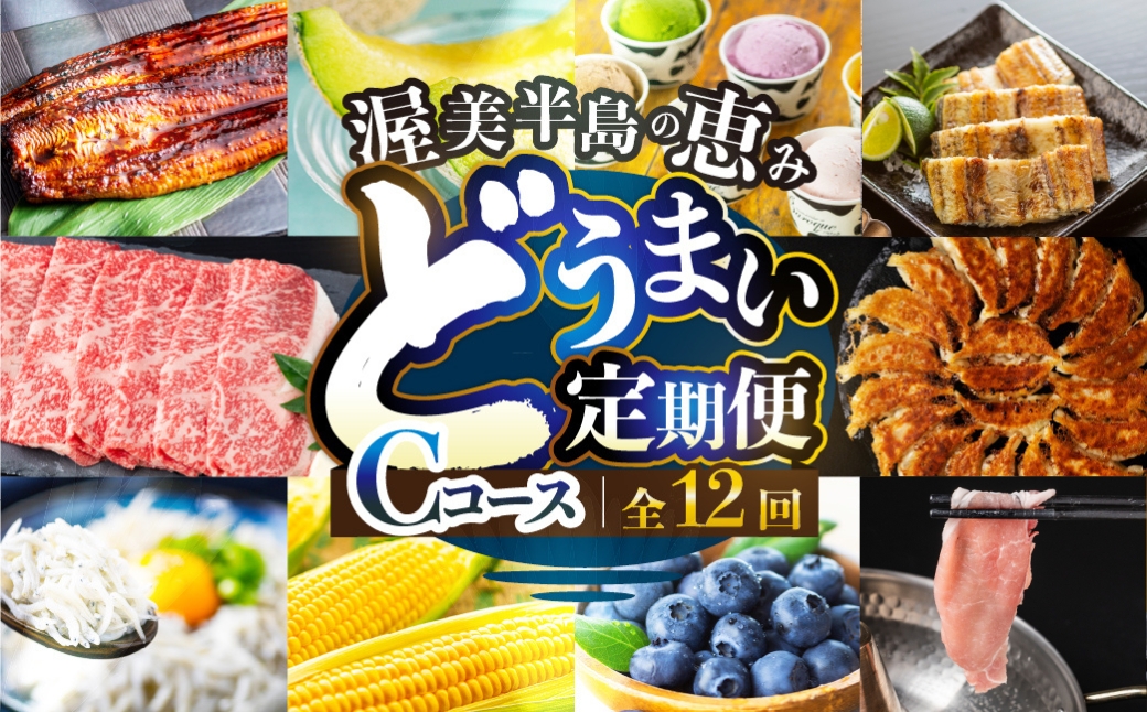 渥美半島の恵み 定期便 12回 海鮮コース 肉 海鮮 農産物 ( トマト/ いちご / 焼き鳥 / あおさ/ 豚肉 / うなぎ / メロン / しらす / 親子丼 / ジェラート / 餃子 / うなぎ ) 12ヶ月 1年 鰻 ウナギ 蒲焼 高評価 お楽しみ フルーツ 海鮮 果物 どうまい 人気 田原市 豚肉 マスクメロン ミニトマト 名古屋コーチン