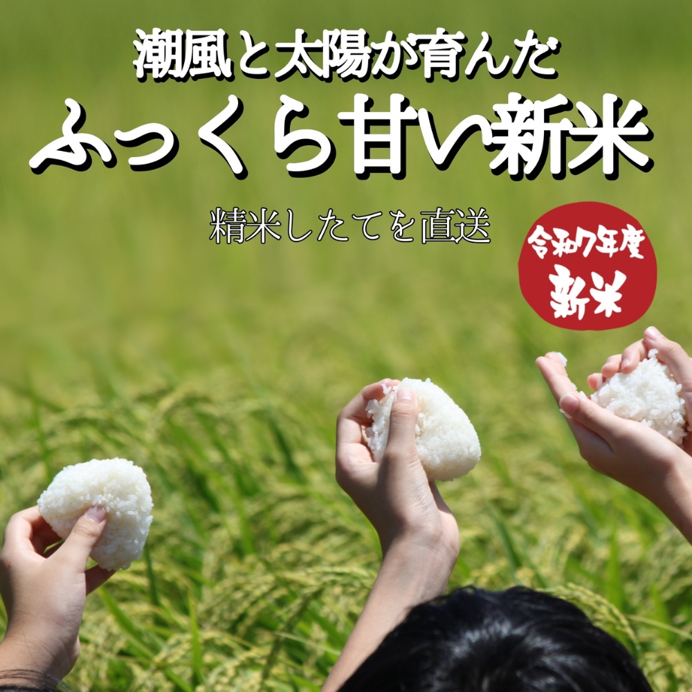 【先行予約】新米 5kg たはらの お米 おこめ 米 コメ ごはん ご飯 おかず 白飯 白ごはん お弁当 精米 お取り寄せ 災害 備え 愛知県 田原市 人気