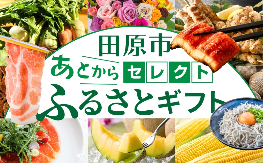 ＼約500品から選べる／あとから選べる！オンラインカタログ あとからセレクト 地鶏 名古屋コーチン 牛肉 肉 国産牛 田原ポーク 豚肉 いちご メロン 選べる しらす うなぎ カタログ 定期便 特産品 グルメ 田原市
