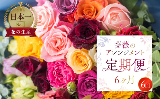 [定期便]薔薇のアレンジメント (バラ20本+ユーカリ) 6ヶ月 6回お届け アレンジブーケ バラ 薔薇 花束 ローズ 生花 赤 ピンク 色おまかせ 観賞用 プレゼント 花 ギフト 誕生日 植物 フラワー 土壌栽培 産地直送 田原市 人気 切り花 切花 72000円