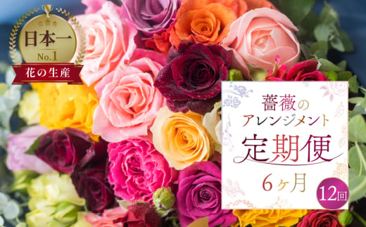 [定期便]薔薇 アレンジメント (バラ20本+ユーカリ) 6ヶ月 12回お届け 隔週 花束 アレンジブーケ バラ 薔薇 花束 ローズ 生花 赤 ピンク 色おまかせ 観賞用 プレゼント 花 ギフト 誕生日 植物 フラワー 土壌栽培 産地直送 田原市 人気 切り花 切花 144000円