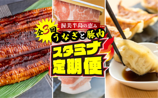 渥美半島の恵み スタミナセット定期便 全3回 (うなぎ / 豚肉 / 餃子)