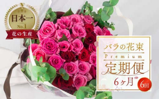 [定期便]薔薇のアレンジメント プレミアム 6ヶ月 6回お届け 花束 最上級 30本 (50cm) ブーケ 薔薇 ローズ 生花 観賞用 プレゼント 花 ギフト 誕生日 植物 フラワー 土壌栽培 産地直送 田原市 人気 切り花 切花 138000円