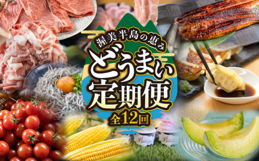 渥美半島の恵み どうまい 定期便 全12回 愛知県田原市 (うなぎ / 豚肉 / 名古屋コーチン / メロン / 牛肉 / スイーツ など )