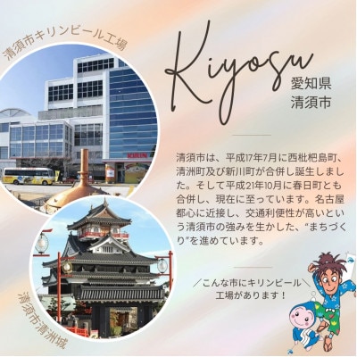 モンデリーズ・ジャパン クロレッツXPクリアミントボトルR 140g×6個