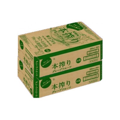 【2ヵ月毎定期便】キリン 本搾り グレープフルーツ 350ml 2ケース(48本) チューハイ全3回