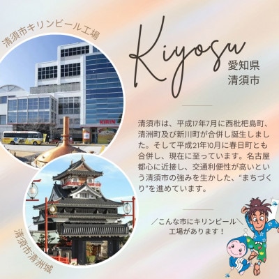 【3ヵ月毎定期便】キリン氷結無糖グレープフルーツAlc.4%　350ml×48本(2ケース)全3回