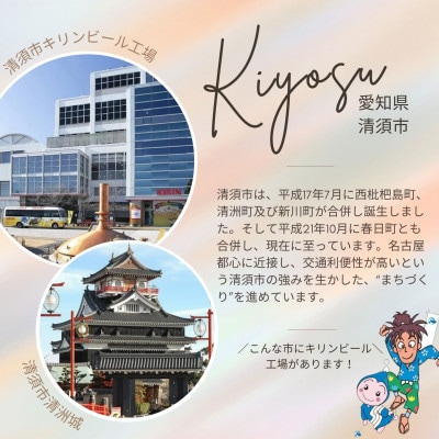 【毎月定期便】キリン　氷結 無糖レモン　Alc.7%　350ml×48本(2ケース)全3回