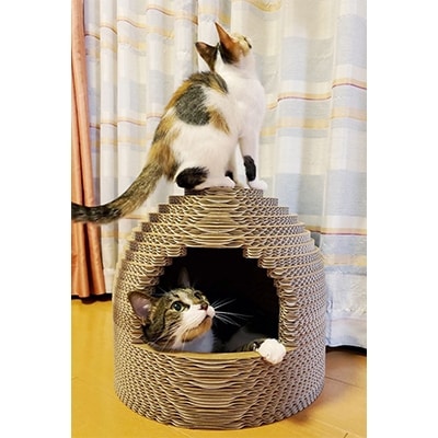ダンボールねこちぐら