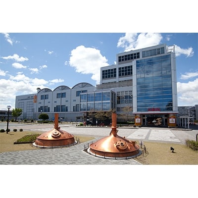 キリン氷結ストロングシチリア産レモン350ml×48本