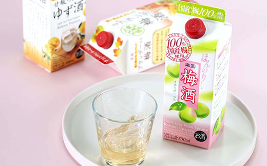 梅酒・ゆず酒　500mlパック　6本セット(3種類×各2本)