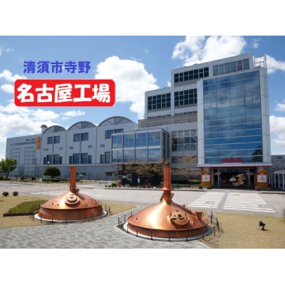 【毎月定期便】キリン 氷結 無糖レモン 7% 350ml 2ケース(48本)全3回