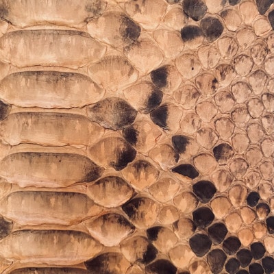 NYATTU PROJECT 天然パイソン(ヘビ革)フラグメントケース(ポーチ)ピンクマダラ