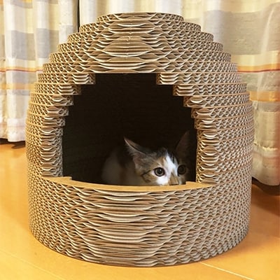 ダンボールねこちぐら