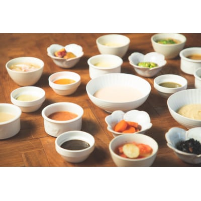 介護用GSミキサー食・1週間Aセット(3食×7日間分)【配送不可地域：離島】