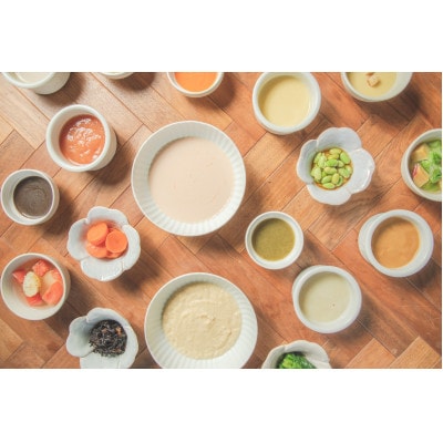 介護用GSミキサー食・2週間セット(3食×14日間分)【配送不可地域：離島】