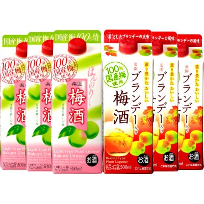 梅酒飲み比べ6本セット