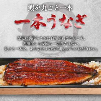 うなぎ四代目菊川の「丸ごと一本鰻」2本入【配送不可地域：離島】