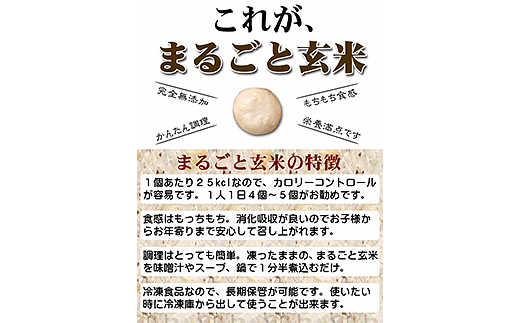 〈冷凍〉まるごと玄米(20個入り)15袋でお届け【配送不可地域：離島】