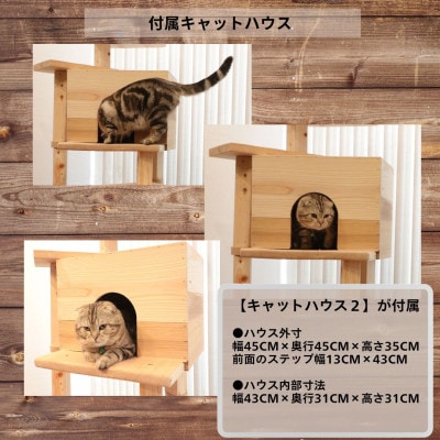 【ねこハウスシリーズ】シンプル60シリーズTypeA　上がりやすいキャットタワー【複数個口で配送】
