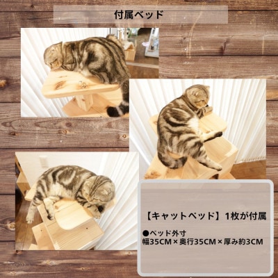 【ねこハウスシリーズ】シンプル60シリーズTypeB　上がりやすいキャットタワー【複数個口で配送】