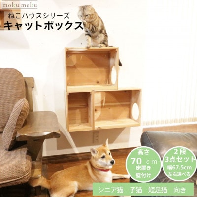 床置きタワー・壁付けキャットウォークで使えるキャットボックス　2段3点セット(左上がり)