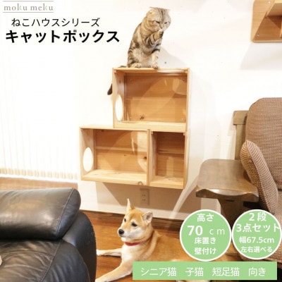 床置きタワー・壁付けキャットウォークで使えるキャットボックス　2段3点セット(右上がり)