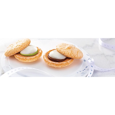 名古屋ふらんす10個入