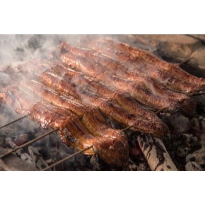 秘伝のタレ付き　うなぎ長焼2本セット【配送不可地域：離島】