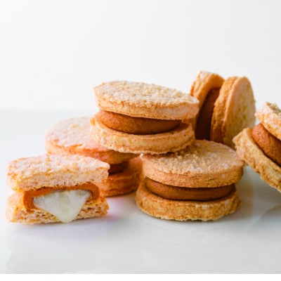 名古屋ふらんすプチ　1箱(10個入)