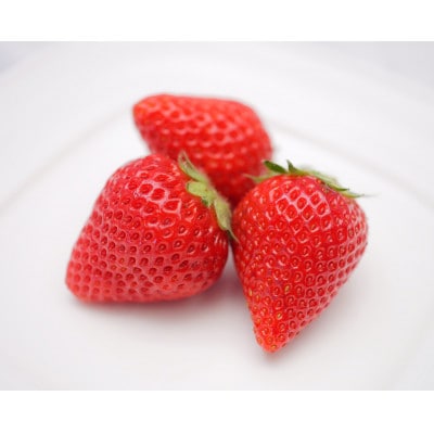 【産直】冷凍いちご　よつぼし　愛知県みよし市　1Kg【配送不可地域：離島】