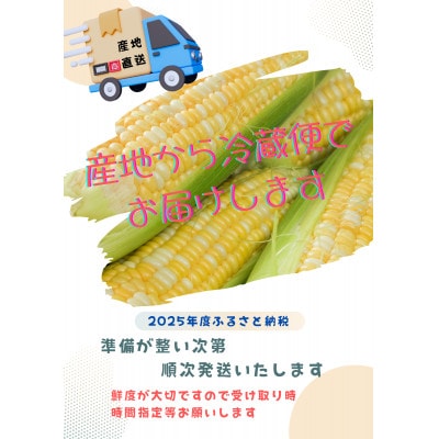 【2025年度】愛知県みよし市産 朝採り「夢コーン。」Lサイズ8本セット 数量限定【配送不可地域：離島・沖縄県】