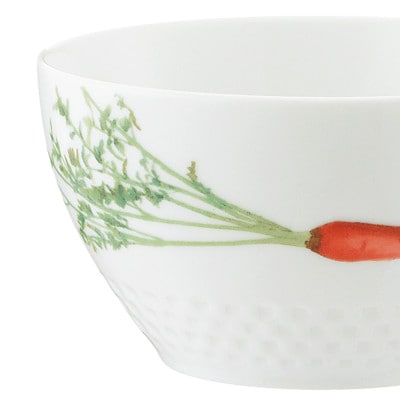 ノリタケ【京香旬彩】11cmボウルセット(絵変り5個)