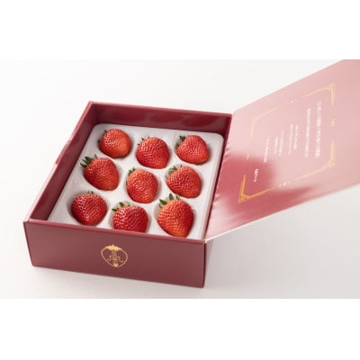 【産直】完熟よつぼし『四重奏プレミアム』　愛知県みよし市　【配送不可地域：離島・北海道・沖縄県】