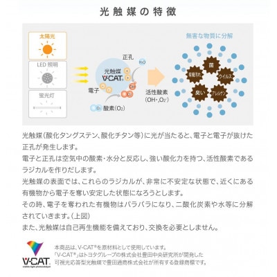 【空気環境を守る!約30畳対応の空気清浄機】エアプロテクターエアプロAP-7E6Wホワイト