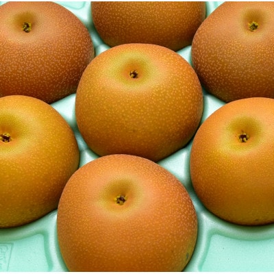 あきづき梨【2024年9月より順次発送】【配送不可地域：離島・北海道・沖縄県・東北・中国・四国・九州】