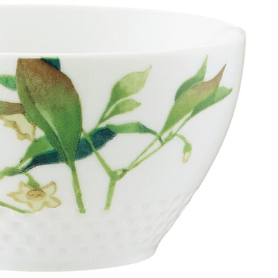 ノリタケ【京香旬彩】11cmボウルセット(絵変り5個)