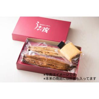 うお茂特製長焼き・白焼き・う巻・肝焼き食べ比べセット【配送不可地域：離島】