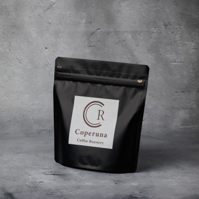 【自家焙煎珈琲】ふるさと納税限定ブレンド100g×2種+おすすめ銘柄100g 計300g 〈粉〉