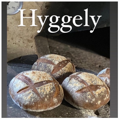 愛知県産こだわりの石窯焼きプレミアムカンパーニュ1個【配送不可地域：離島】