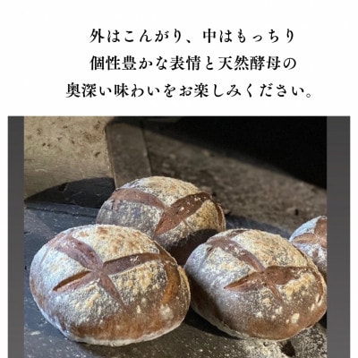 愛知県みよし市産 石窯パン詰め合わせ Mサイズ 7～10個入り【配送不可地域：離島】