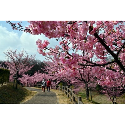 【返礼品なし】子育て支援に関する事業