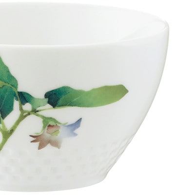 ノリタケ【京香旬彩】11cmボウルセット(絵変り5個)