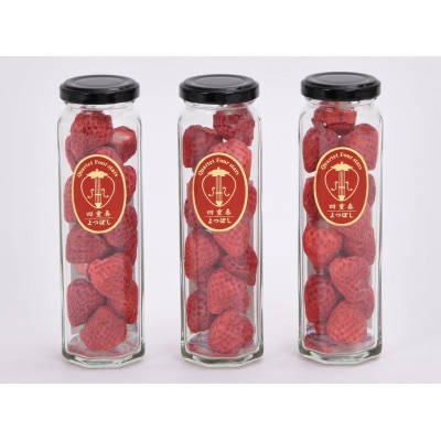 【愛知県・みよし市】フリーズドライ『四重奏』3本 化粧箱入り