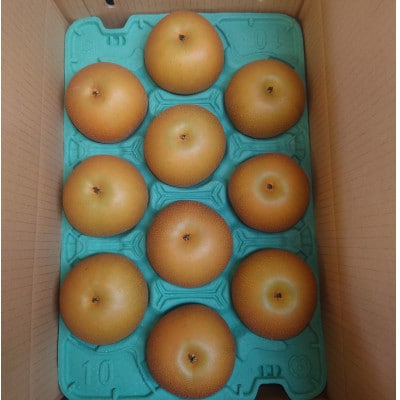 梨　5kg　幸水・豊水・あきづき【配送不可地域：離島・北海道・沖縄県・東北・中国・四国・九州】