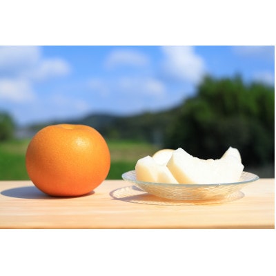 あきづき梨【2024年9月より順次発送】【配送不可地域：離島・北海道・沖縄県・東北・中国・四国・九州】